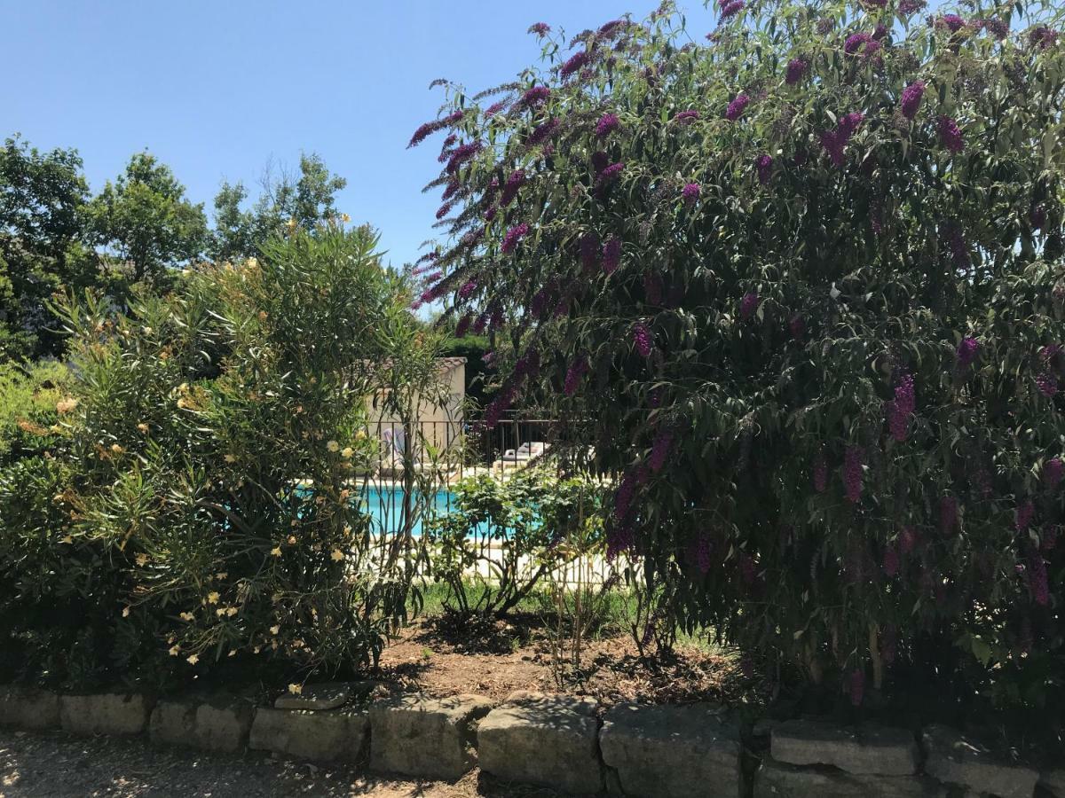 Les Buis Apartman Carpentras Kültér fotó